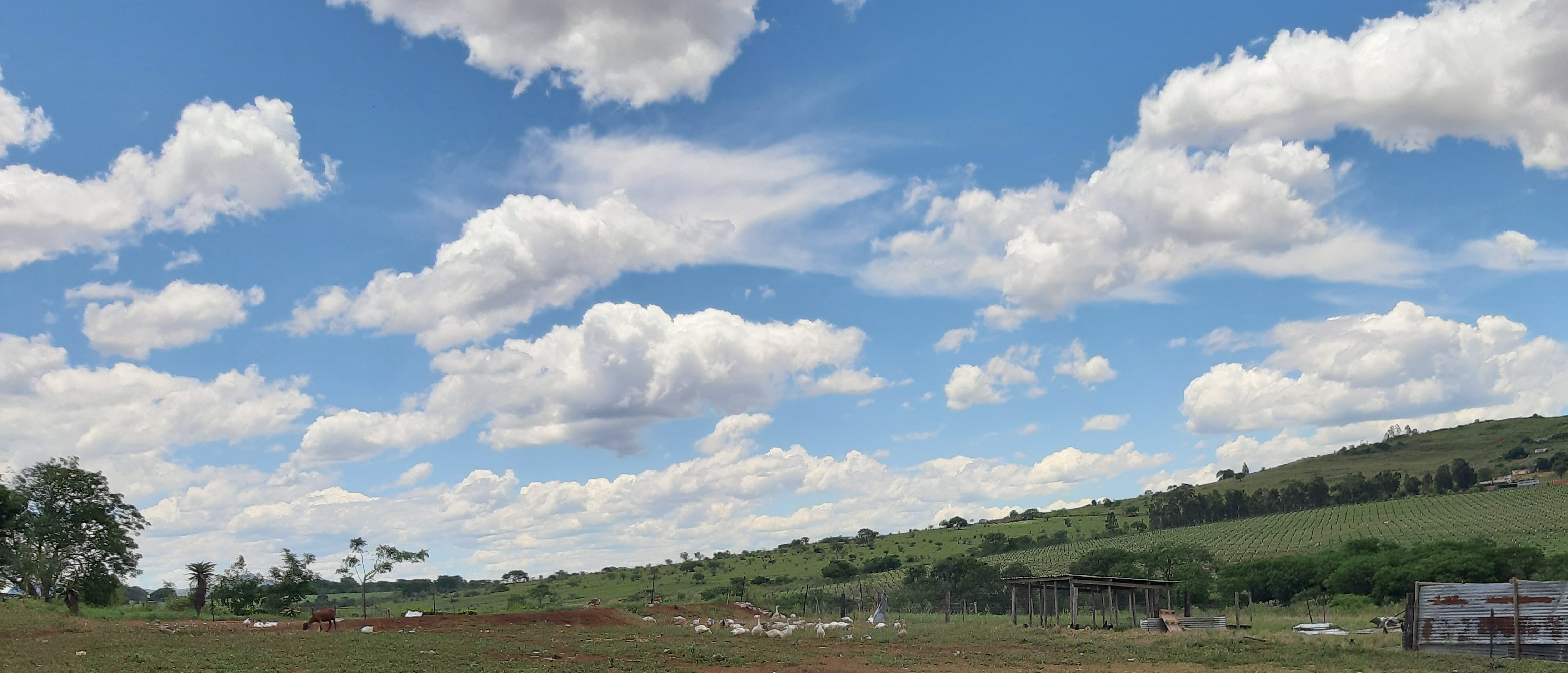 山姆小弟生活紀錄&各種人生經驗想法